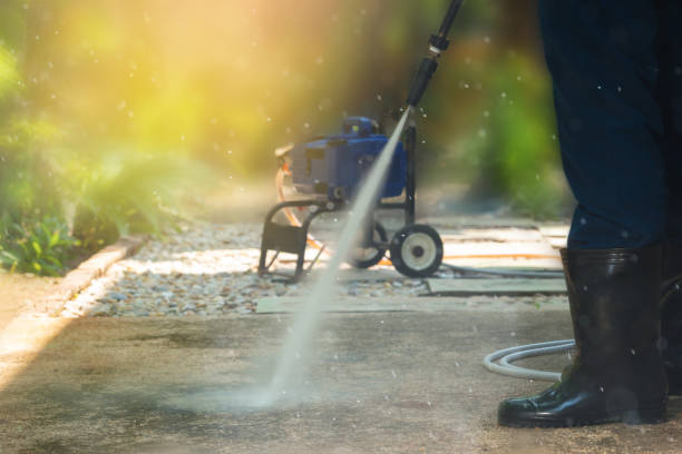 Best Animal Enclosure Cleaning  in Falfurrias, TX